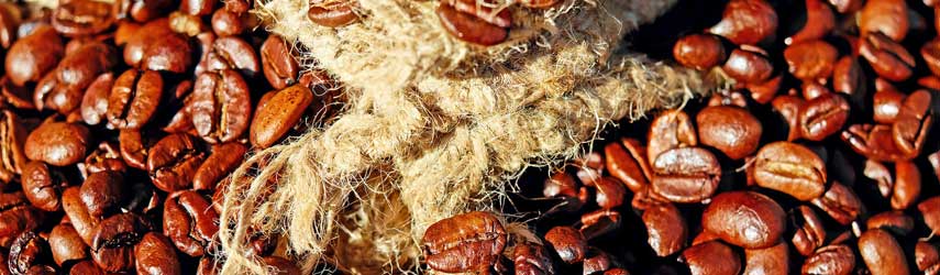 Andreas Allefeld bei der Kaffeeverkostung